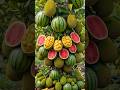 Easy and fast technique for growing and propagating hybrid jackfruit and watermelon fruit trees #diy