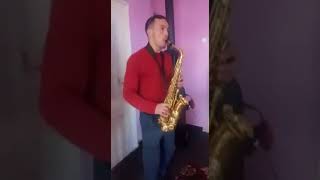 Invartita Marius  Bleoca