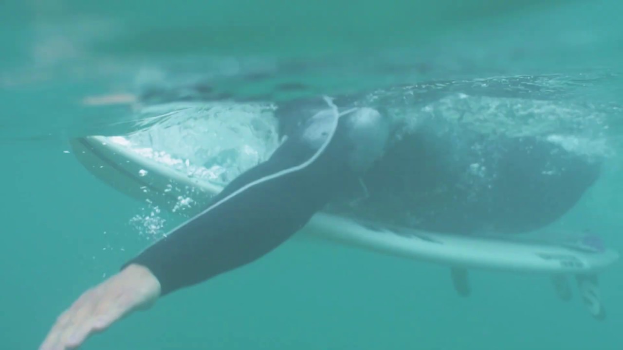 Prolimit l Elite Series, our most technical and innovative range - YouTube