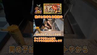 箱根わんこ亭ゆにわ #shorts  #ペットと泊まれる宿 #dog