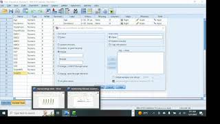 Celebrity How to Recode Scale variables into categories in SPSS (Part 10) Wealth