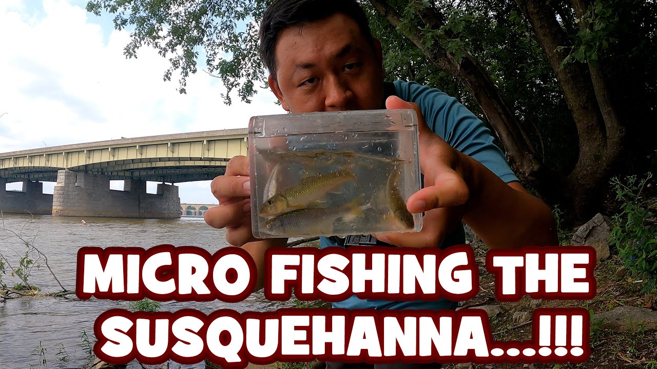 MICROFISHING the SUSQUEHANNA RIVER!!! [OLDIE, BUT A GOODIE