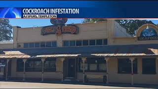 Celebrity Health officials: Templeton restaurant closed due to cockroach infestation Wealth