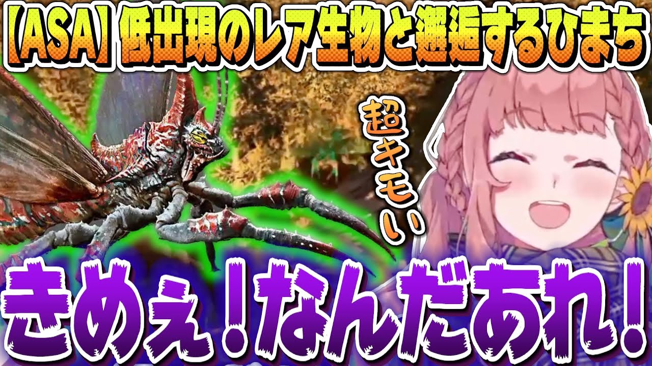 【ASA】低出現のリニオグナタと邂逅するひまちゃん【本間ひまわり / にじさんじ】