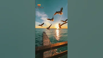 أجمل كلام حب للحبيب كلام من القلب للغالي على القلب 
