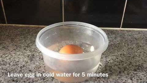 How to turn an egg into a Bouncy Ball!!