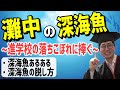 【進学校の深海魚】灘中の最下位が語る、深海魚の実態!