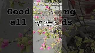 Good morning everyone all the #new #post #trending #post