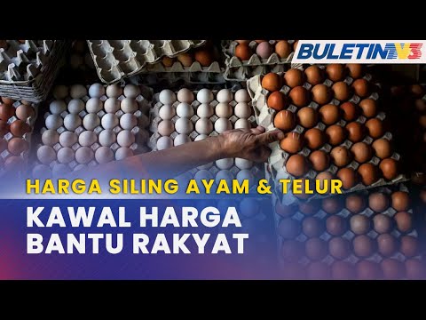 Video: Apabila siling harga berkuat kuasa?