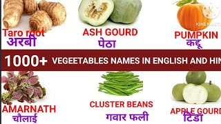 100 vegetables names in english and hindi with pictures|सब्जियों के नाम#viral #kids