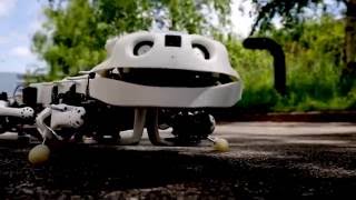 Робот-саламандра Pleurobot