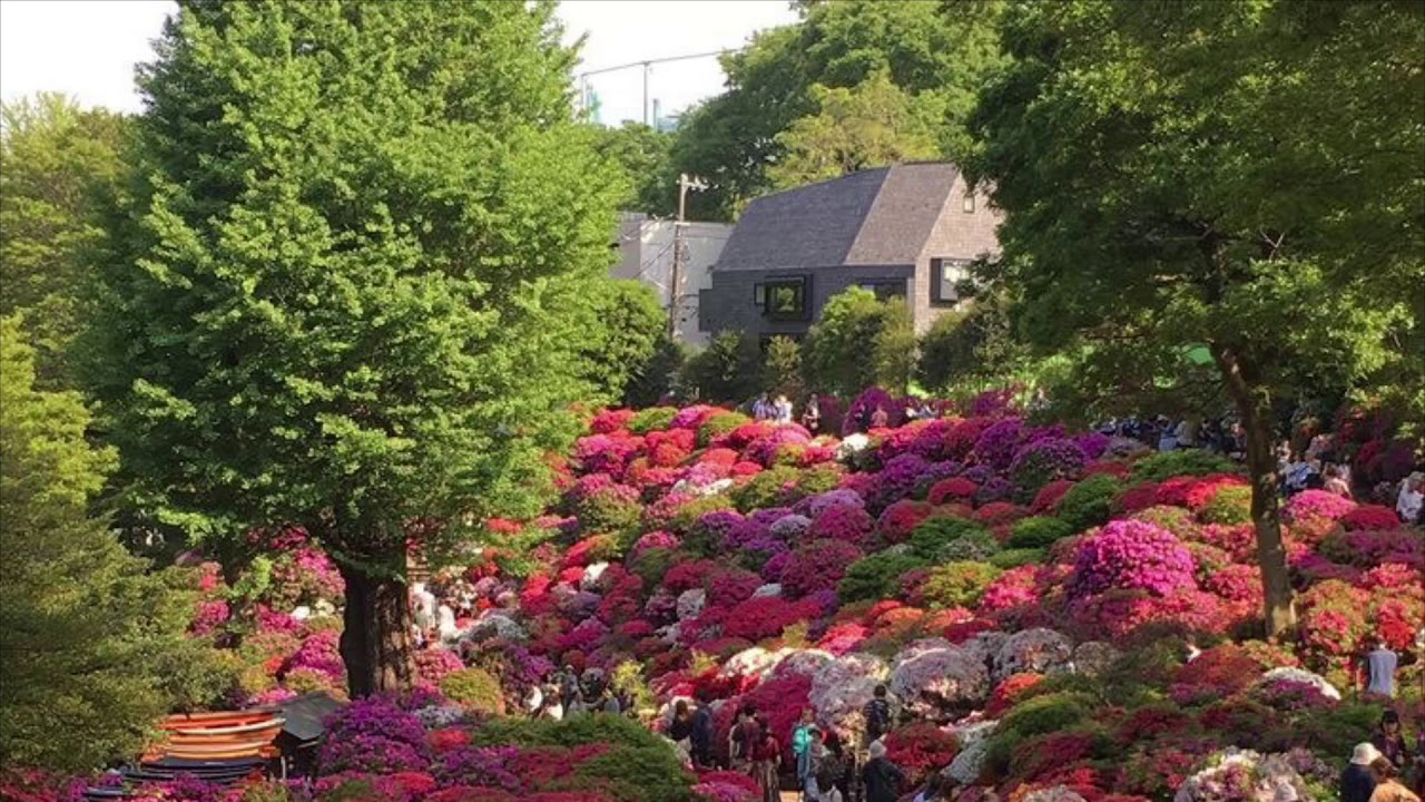 GFRIEND- Love Whisper (𝓢𝓵𝓸𝔀𝓮𝓭 𝓭𝓸𝔀𝓷)