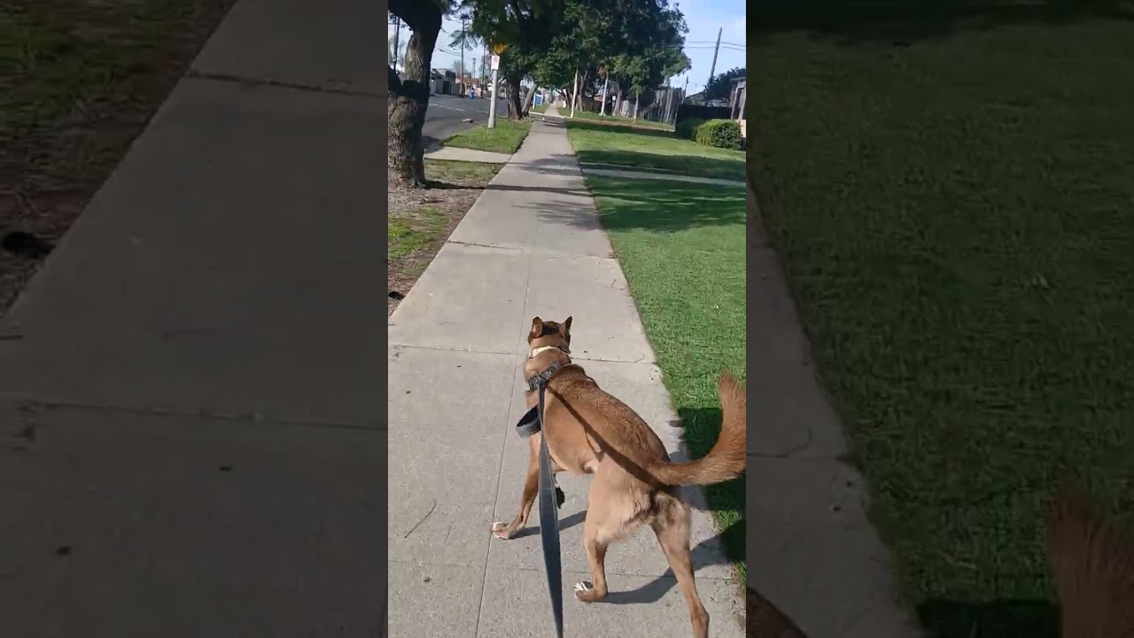 Switch it up once in awhile..(Mary Jane & Miss Dinky)