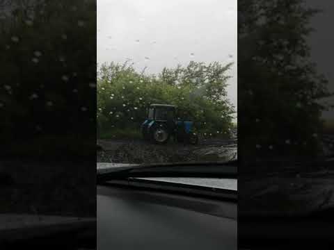 Приехали на гречиху