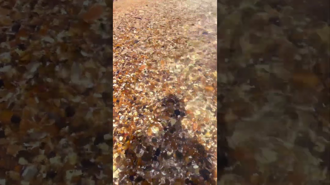 Shoeburyness beach beauty