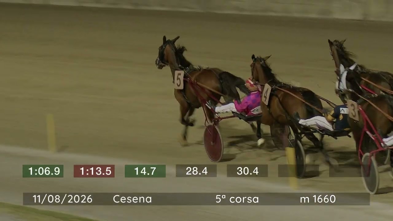 2026 08 11 | Corsa 5 | Metri 1660 | Premio A.I.P. Parkinson - La Foglia E Il Bastone