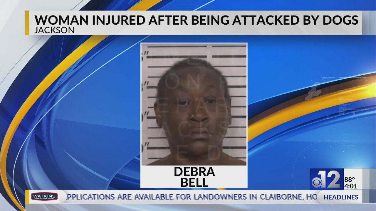 Jackson woman injured after being attacked by dogs - YouTube