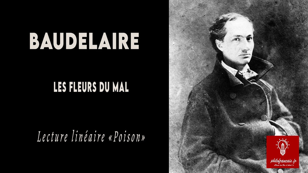 Baudelaire, Le Poison (Fleurs du mal), Analyse linéaire / philofrancais