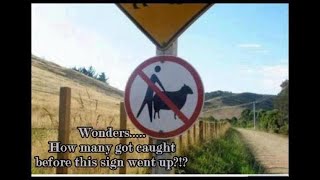 shitpostatus and memes compilations v52