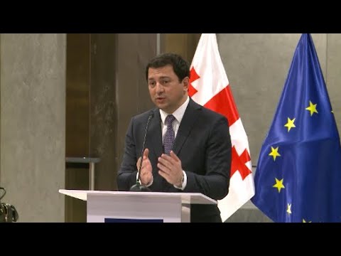 \"დაიღალა საზოგადოება, ეს არის აბსოლუტურად ხელოვნური კრიზისი, ოპოზიციას ბევრი რამ სევთავაზეთ\"