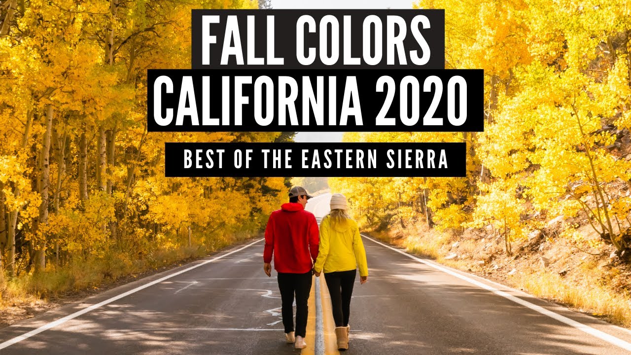 WE DROVE 6 HOURS FOR THIS?! | BEST SPOTS FOR FALL COLORS IN CALIFORNIA 2020 VLOG