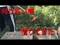 小屋暮らし開拓記05:刈り払い機で薙ぎ払え！