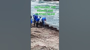 INSTALLING REBARS FOR CAPPING BEAMS #offshore #sheetpile #construction #everyone