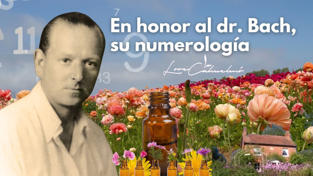 Numerología en video
