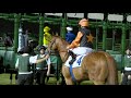 GLORIOUS JOURNEY defies a penalty to win in strong style for Charlie Appleby