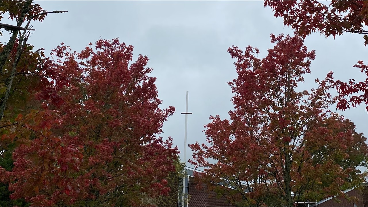 Worship February 15 2026