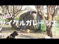 海しか見えない！？絶景の6,000坪にキャンプ場作り始めました