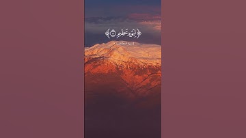 سورة المطففين من الآية ١ إلى الآية ١٠. الورد اليومي من القرآن الكريم بصوت الشيخ ناصر القطامي #قرآن