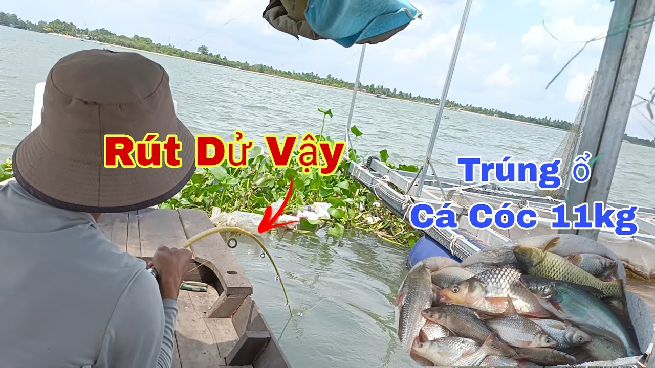 Câu Cá Trên Bè, Lại Trúng Ổ Cá Cóc Bự Giật Đã Tay | Trần Đại Fishing