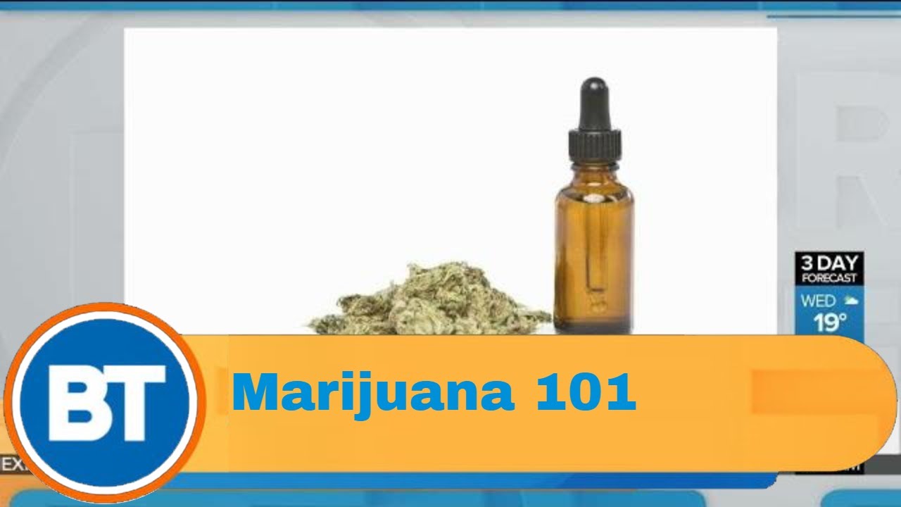 Marijuana 101: What you need to know if you plan to try cannabis