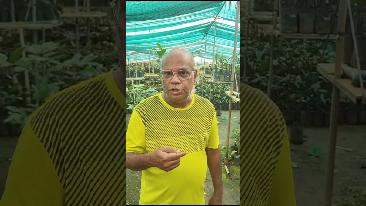 Paulson Nirappel Nursery