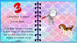 PRIMEROS AUXILIOS MORDEDURA DE PERRO.