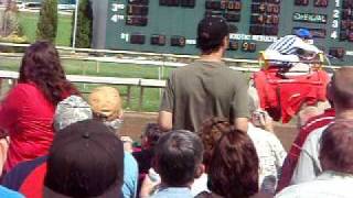 Camel Race screenshot 3