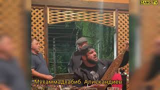 Чёткая песня поёт Мухаммадхабиб Алискандиев