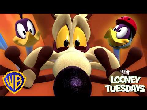 Wile E Coyote gegen Road Runner Wer wird gewinnen | Looney Tunes auf Deutsch 🇩🇪 | @WBKidsDeutschland