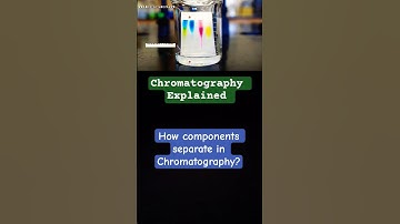 HOW Paper Chromatography WORKS! 🔬 Separation Science Explained #shorts
