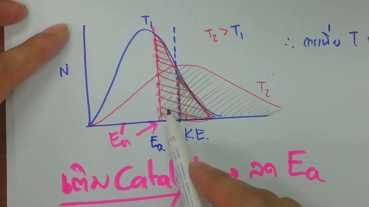 distribution อ่าน ว่า  Update  Unit 2 2 Distribution of velocity of gas