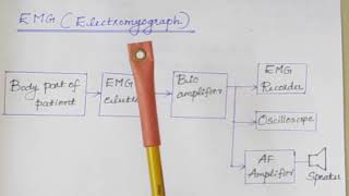 Electromyograph (EMG)