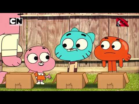 Cartoon Network Turkey Continuity October 29 2025 