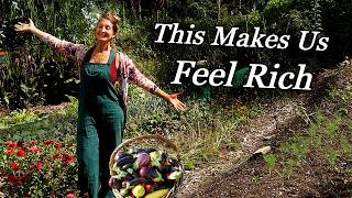 74 Days Without Rain: How Our Garden Survived | End of Summer Garden Tour