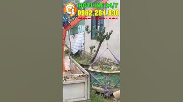 Cẩu xoay 360 độ 1 tấn, cẩu trục xoay 360 độ kết hợp tời điện 12v 6000lb chiuh tải 500kg.Cần cẩu xoay