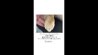 フィニッシュ セニングシザー【6.0インチ】 T17 | Svans.／スバンス