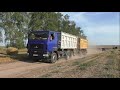 Уборка озимой пшеницы Белорусскими комбайнами полесье GS 12. ч 2