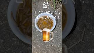 【続】ナメクジ退治にはビールが効く!#家庭菜園 #自然栽培 #無農薬