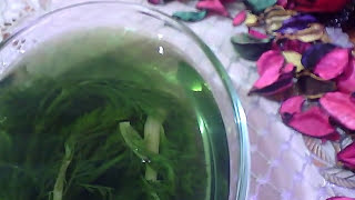 عشبة سحرية  لتطويل الشعرفي شهر وتقويته  وحل جميع مشاكله وموجودة بمطبخك screenshot 4