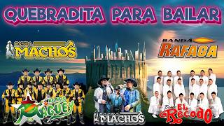 💃 Banda &amp; Bachata Para Bailar 🔥 Ritmos Latinos De Fiesta 🎺 Mix Latino